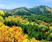 蒲县天气预报15天