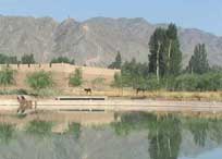 横山天气预报30天