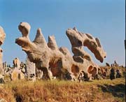 费县天气预报40天