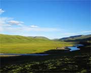 泽库天气预报10天