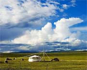 清水河明天天气