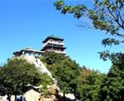 济源天气预报7天