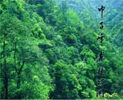 庆元天气预报15天