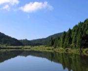 凤阳天气预报10天