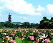 石城天气预报7天