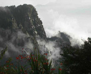 临武天气预报60天