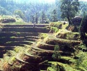 桂东天气预报7天