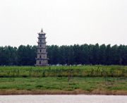 沅江天气预报60天