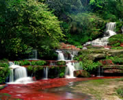 赤水天气预报10天