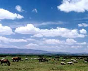 威宁天气预报10天