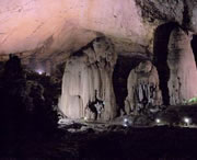 织金天气预报10天