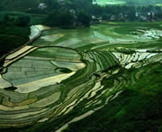 贞丰天气预报60天