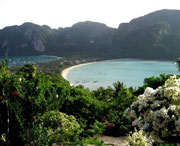 新津天气预报30天