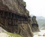 青川天气预报7天