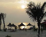 惠东天气预报10天