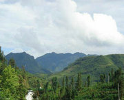 屏边天气预报10天