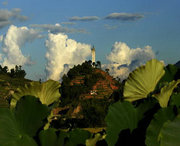 凤庆天气预报7天